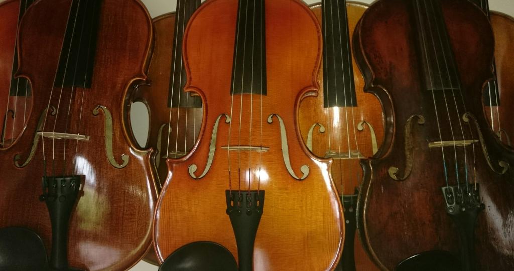 Symbolfoto zu dieser Veranstaltung